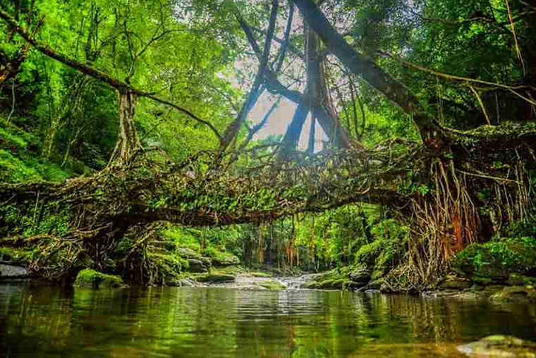 Best Guwahati Tourist Cab Agency for Assam Meghalaya Arunachal Pradesh Tour